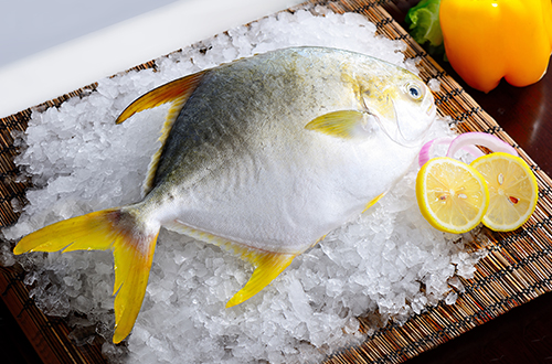 Whole-Round-Golden-Pompano.jpg