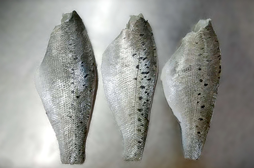 Sea-bass-Fillet-Skin-on.jpg